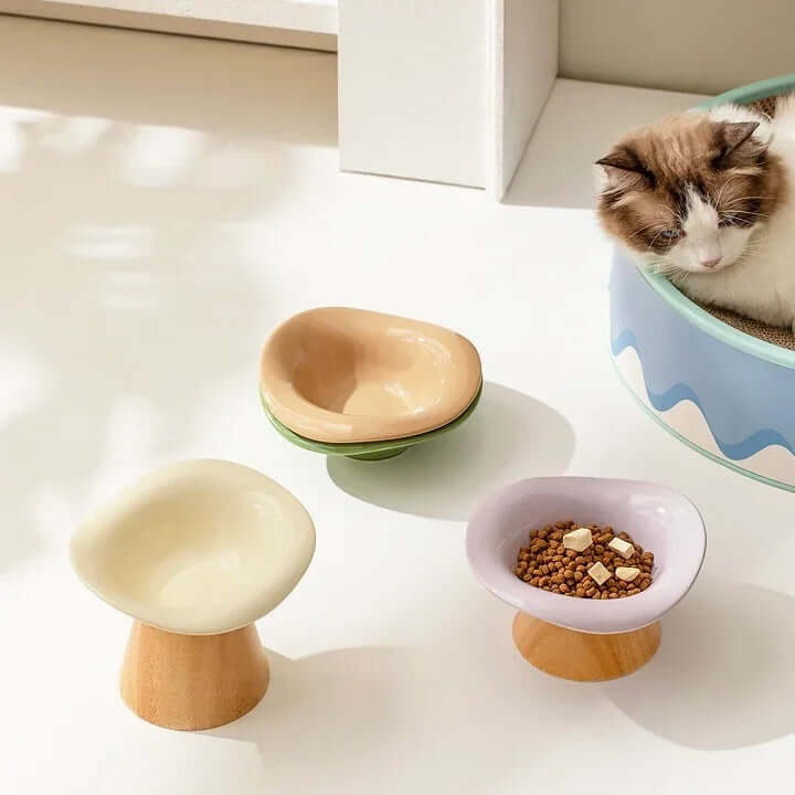 Stylish elevated ceramic cat bowls with wooden bases, one filled with dry food, beside a resting cat.