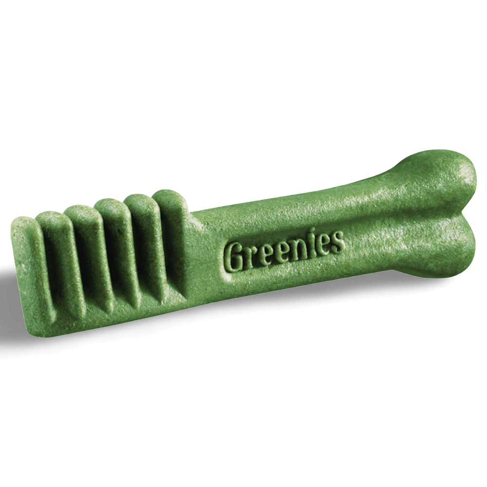 Greenies Sweet Potato Regular Dental Dog Treats 340g green dental chew for dogs in bone shape.