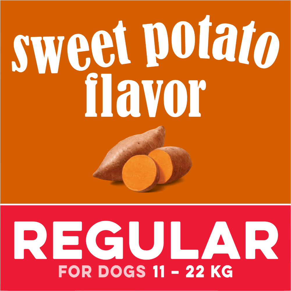 Greenies Sweet Potato Regular Dental Dog Treats 340g packaging featuring sweet potato flavor and regular size for dogs 11-22 kg.