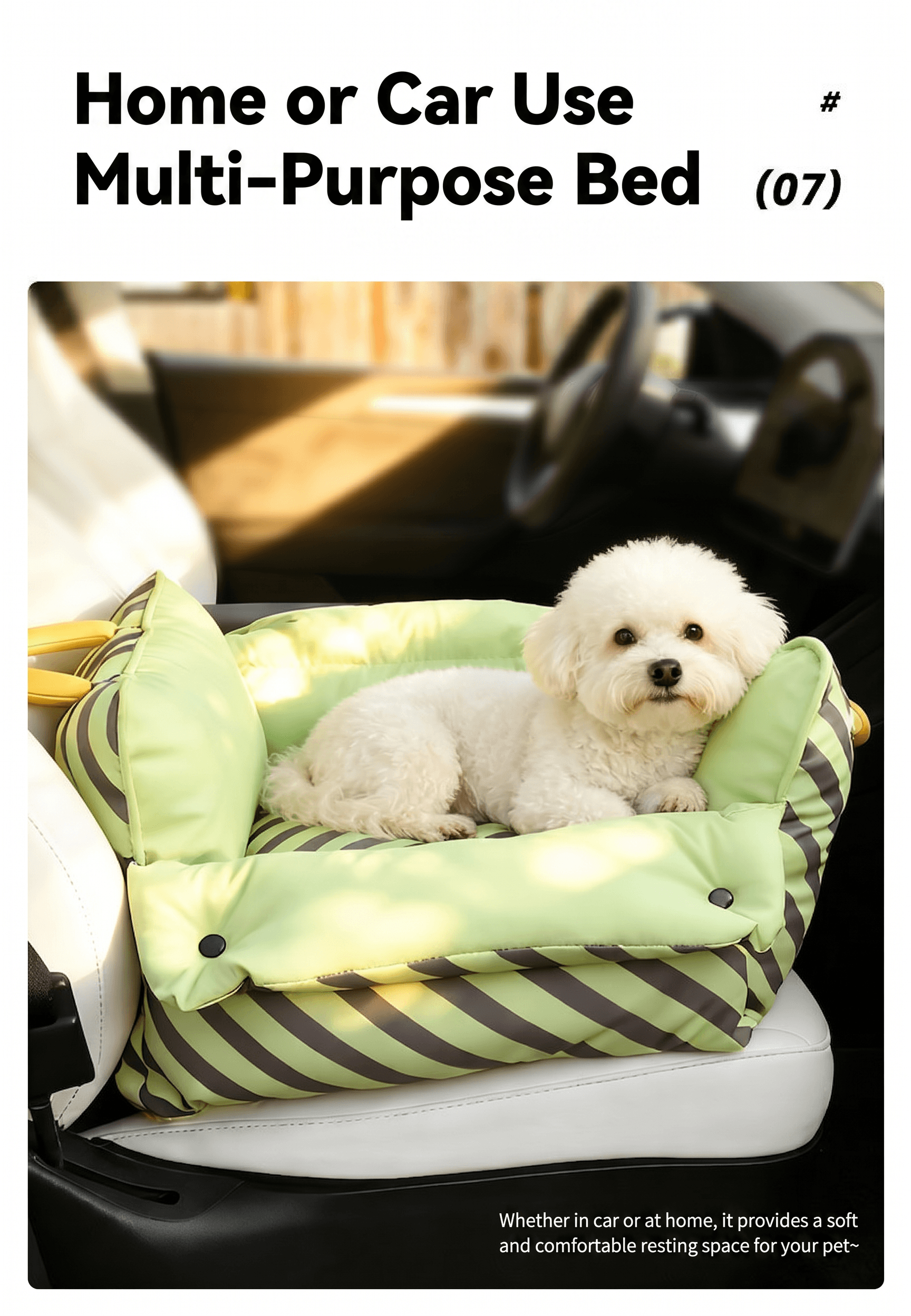 Dopamine-Styled Dog Travel Car Seat - Vibrant Macaron Safety Sofa for Dogs & Cats with a small dog on a multi-purpose bed.