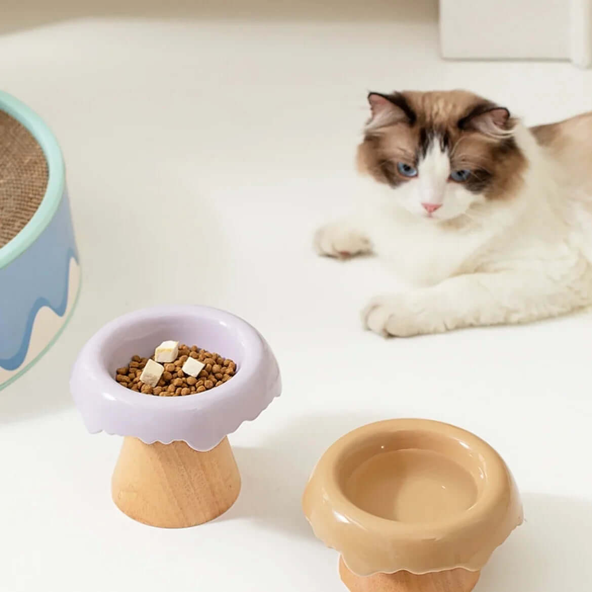 Stylish elevated cat food and water bowls with wooden base, perfect for cats and dogs