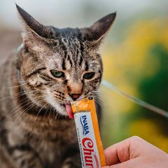 INABA Churu Puree Cat Treats - Tuna & Chicken Varieties Bulk Pack 50 x 14g being enjoyed by a cat.