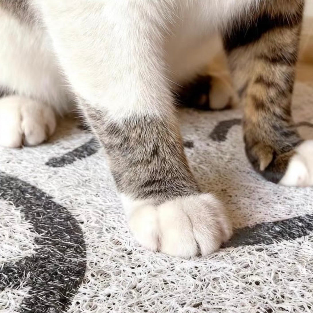 Non-Slip Easy Clean PVC Cat Litter Mat Beige with cat paws on the mat surface