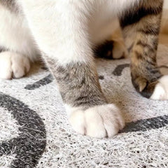 Non-Slip Easy Clean PVC Cat Litter Mat Beige with cat paws on the mat surface
