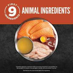 Orijen Salmon & Chicken Chunks & Shreds Adult Wet Cat Food 155g ×6 showing fresh animal ingredients.