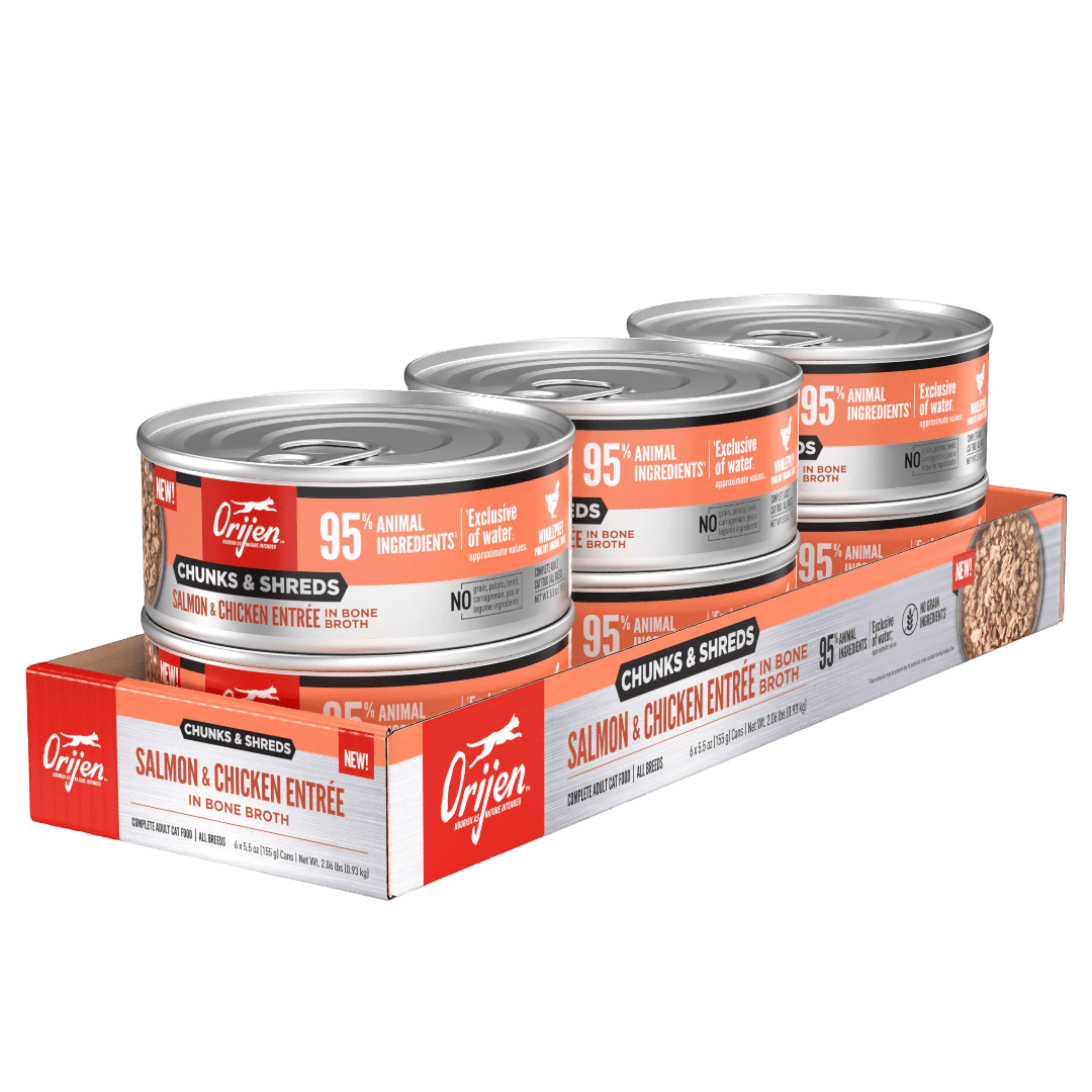 Orijen Salmon & Chicken Chunks & Shreds Adult Wet Cat Food 155g ×6 pack featuring three cans.