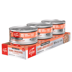 Orijen Salmon & Chicken Chunks & Shreds Adult Wet Cat Food 155g ×6 pack featuring three cans.