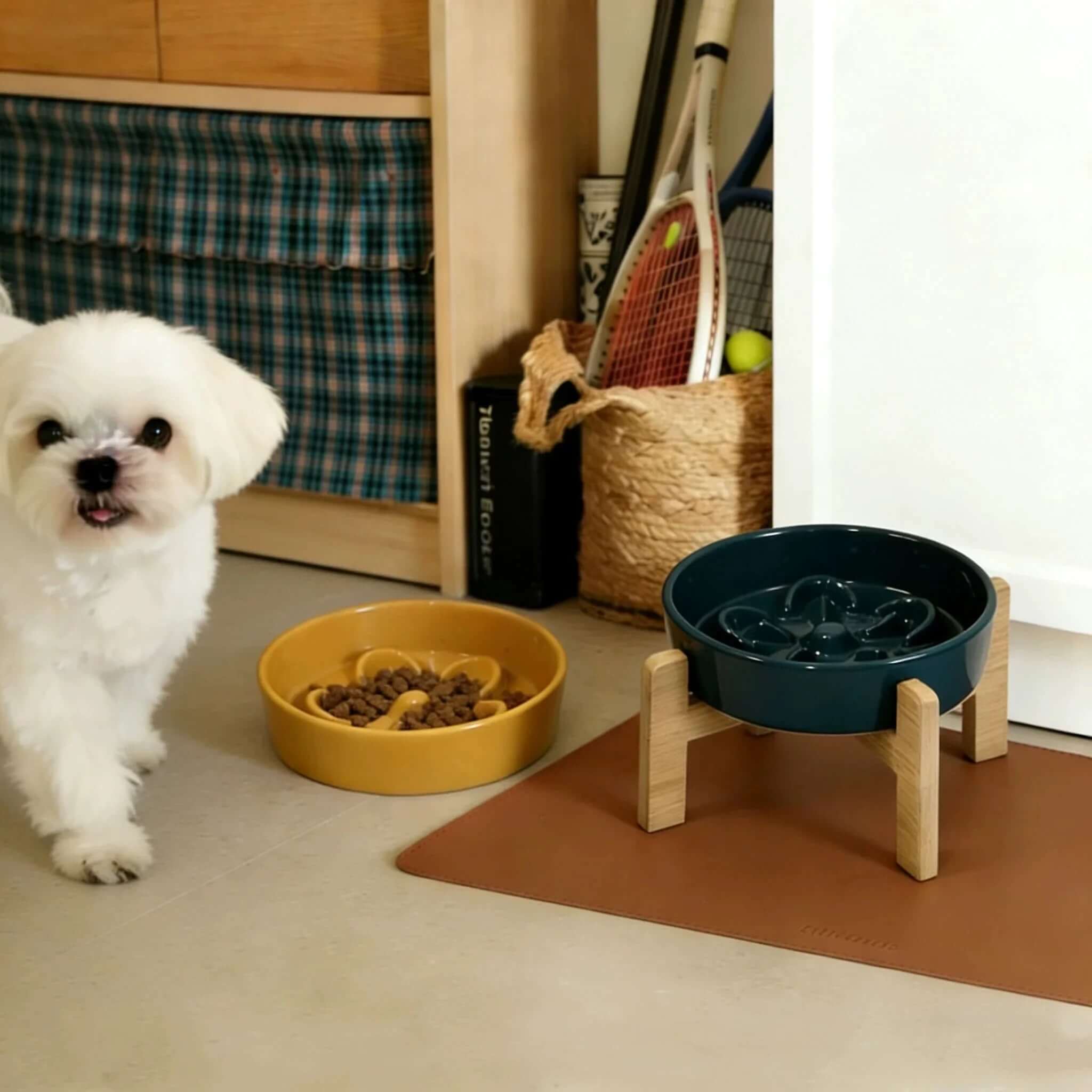 Small white dog beside yellow and blue slow feeder bowls on wooden stands with leather mat