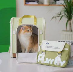 Cat in mint green pet carrier with 'Purr' bag, stylish cat supplies for travel and comfort