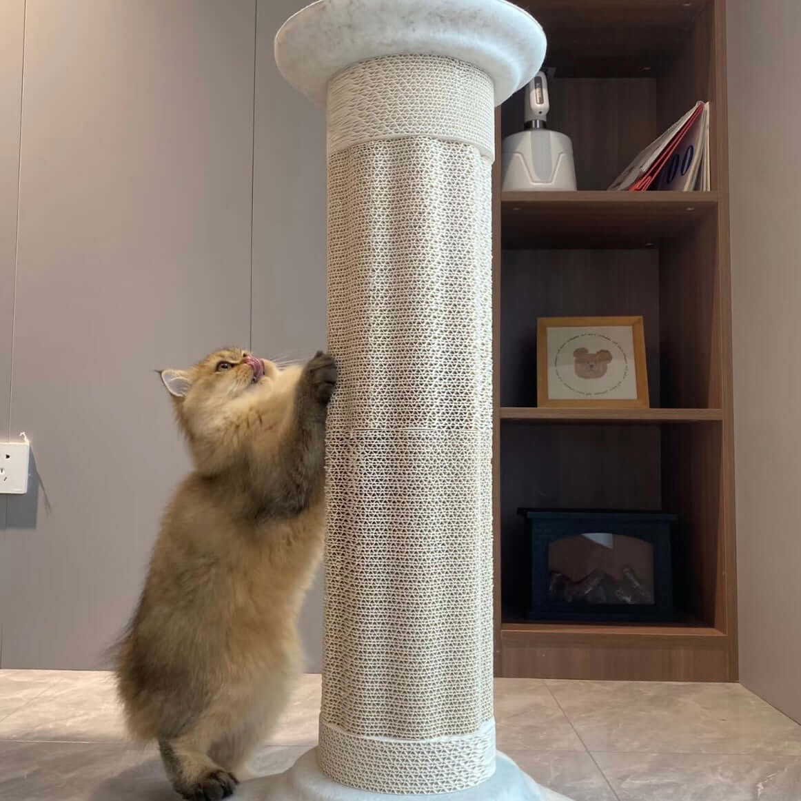 Roman Column Aesthetic Corrugated Cat Scratching Post – Stylish cat scratchers for Indoor Cats with a cat scratching the post.