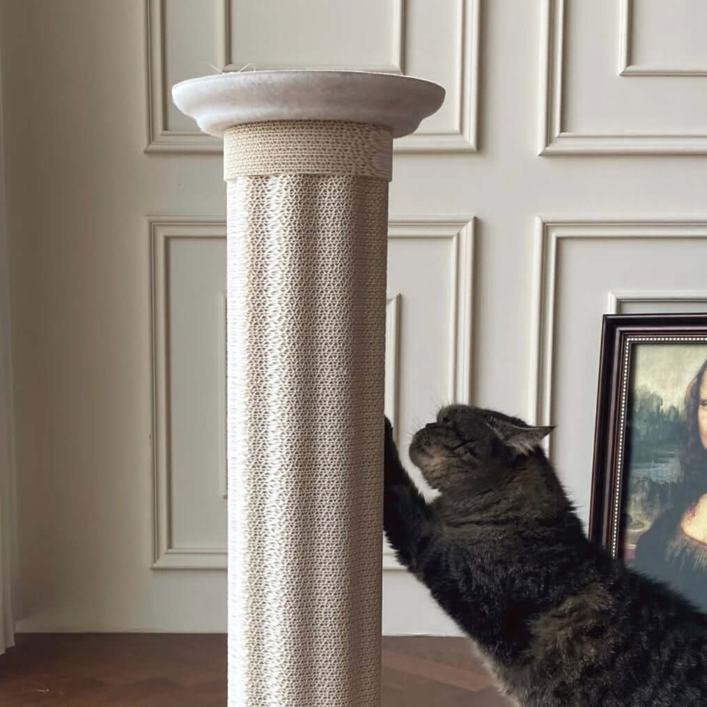 Roman Column Aesthetic Corrugated Cat Scratching Post – Stylish cat scratchers for Indoor Cats with a cat using it.