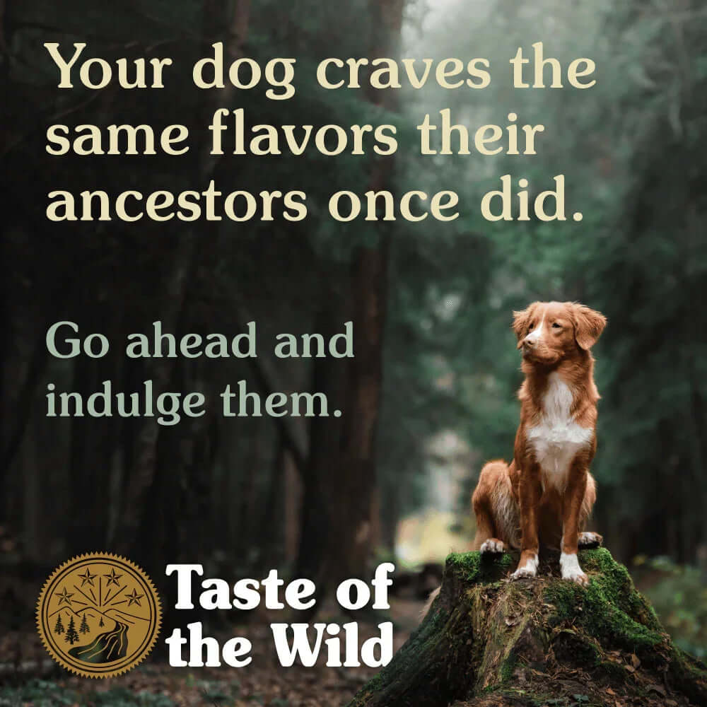 Your dog craves the same flavors their ancestors once did. Taste of the Wild Wetlands Canine Grain-Free Dry Dog Food 12.2kg.