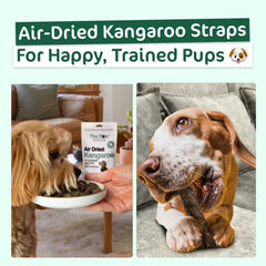 THE PAW GROCER Air-Dried Kangaroo Dog Training Straps 100g for happy, trained pups enjoying a treat.