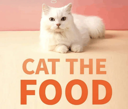 White cat looking curious beside a bowl of freeze dried cat treats