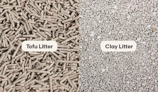 Side-by-side close-up comparison of tofu cat litter pellets and clay cat litter granules (tofu cat litter australia)
