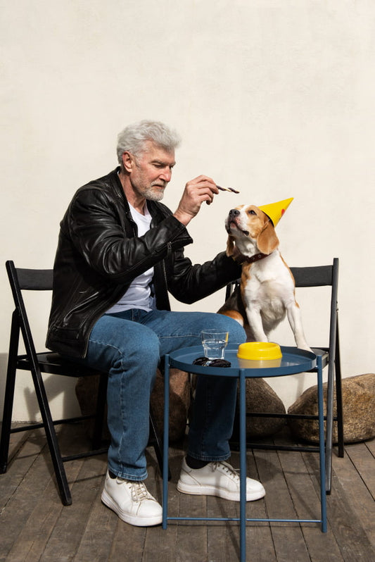 Senior dog wearing a birthday hat being spoon-fed softened dry dog food by an older owner