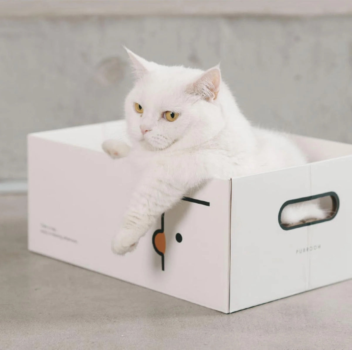 PURROOM Little Chick Series 2 In 1 Cat Scratcher Box