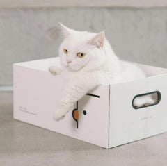 PURROOM Little Chick Series 2 In 1 Cat Scratcher Box