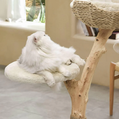 Michu Selected Real Wood Cat Tree - Medium - The Ultimate Feline Playground for Aussie Cats
