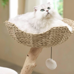 Michu Selected Real Wood Cat Tree - Medium - The Ultimate Feline Playground for Aussie Cats