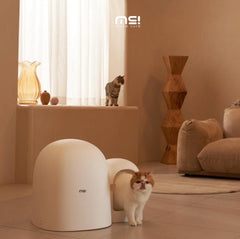 Makesure Cat Litter Box MAX Ideal for large cats