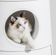 Michu XL Castle 2-in-1 Semi- Closed Cat Litter Box with Scratch Pad in Morandi Green/White