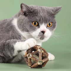 Dental Chew Catnip Cat Toy Ball