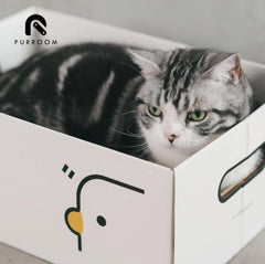PURROOM Little Chick Series 2 In 1 Cat Scratcher Box