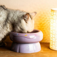 Donut Shape Ceramic Pet Bowl Dual‑Layer