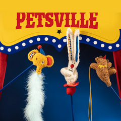PETSVILLE Kitten Teaser Feather Wand