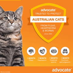 ADVOCATE Flea, Heartworm and Worm Pipette Orange For Small Cat 3pack (Orange)