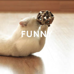 Dental Chew Catnip Cat Toy Ball