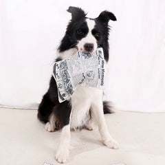 Peroom Squeaking Rubber Newspaper Dog Toy