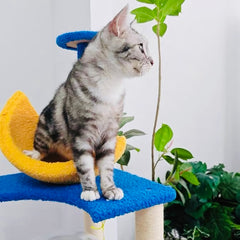 Galaxy UFO Moon Cat Tree – Stylish & Fun Cat Tower Premium