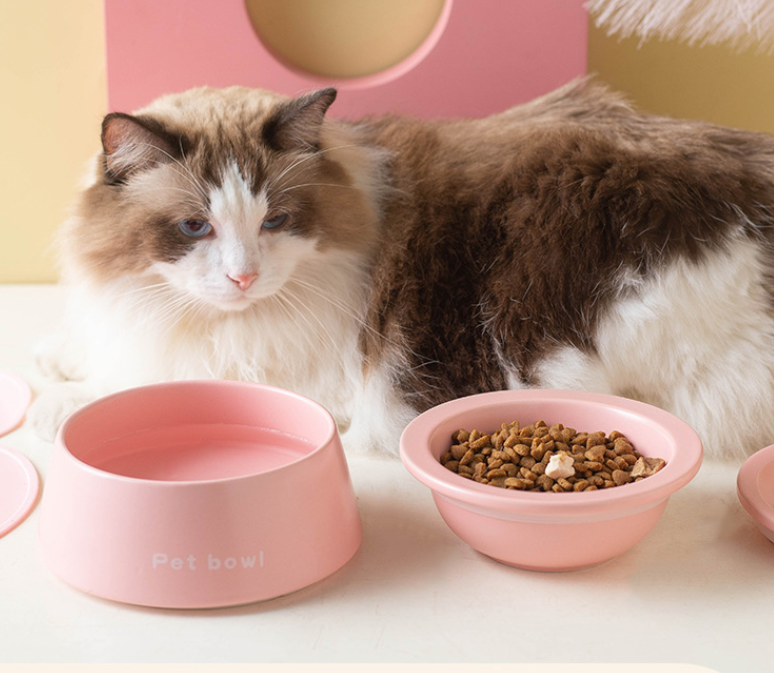 3-in-1 Ceramic Cat Bowl with Non-Slip Strip-Petroom