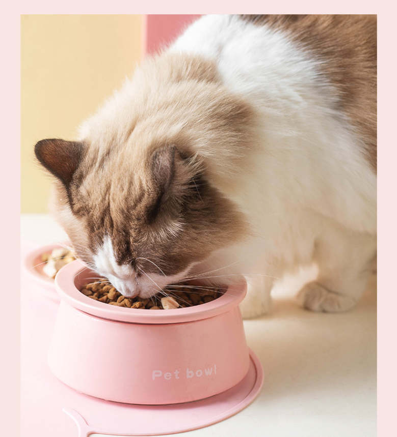 3-in-1 Ceramic Cat Bowl with Non-Slip Strip-Petroom