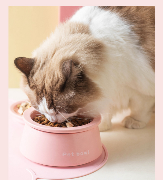 3-in-1 Ceramic Cat Bowl with Non-Slip Strip-Petroom