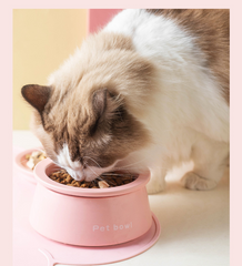 3-in-1 Ceramic Cat Bowl with Non-Slip Strip-Petroom