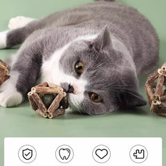 Dental Chew Catnip Cat Toy Ball