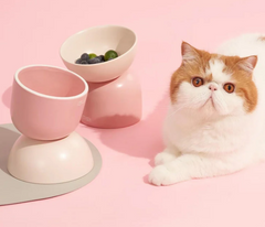 Makesure Sugar Bean Ceramic Double Pet Bowls For Cat and Small Dogs