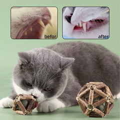Dental Chew Catnip Cat Toy Ball