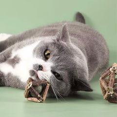 Dental Chew Catnip Cat Toy Ball