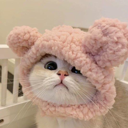 Pet Hat For Cat And Small Dog