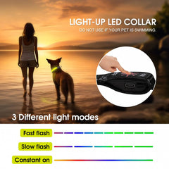 50cm USB Rechargeable Light-up LED Pet Collar