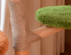 Natural Wood Cat Tree with Cozy Hideaway