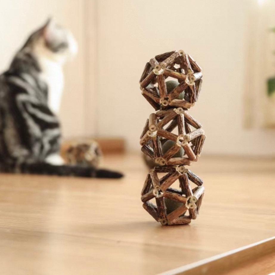 Dental Chew Catnip Cat Toy Ball
