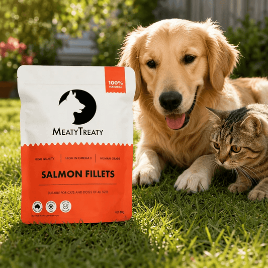 Salmon Fillet Freeze Dried Treats For Cats & Dogs 80g – Premium Freeze Dried Cat Treats
