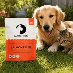 Salmon Fillet Freeze Dried Treats For Cats & Dogs 80g – Premium Freeze Dried Cat Treats
