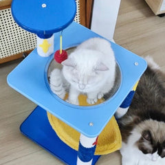 Galaxy Moon Nest and Space Capsule
