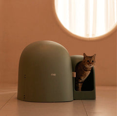 Makesure Cat Litter Box MAX Ideal for large cats